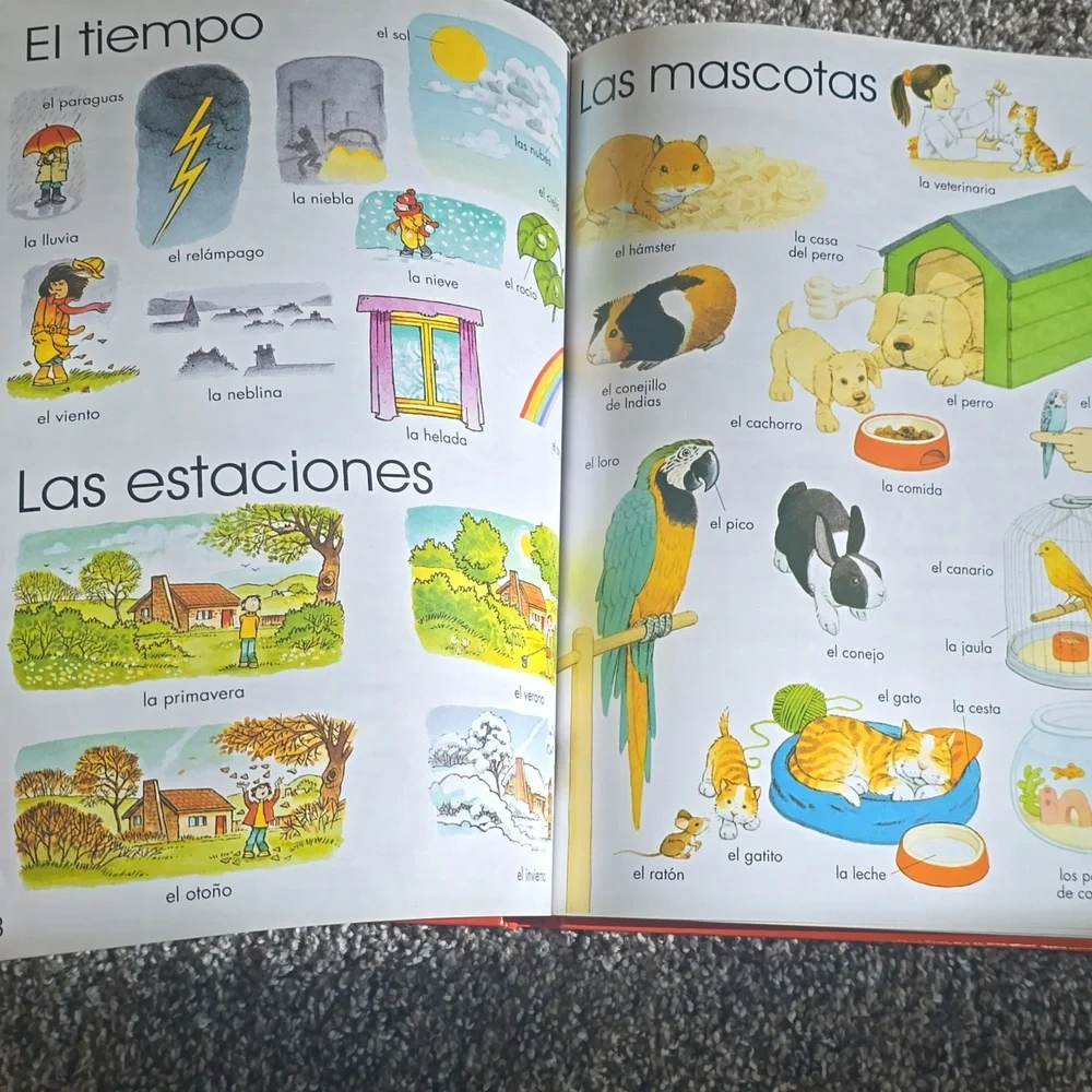 usborne bright orange